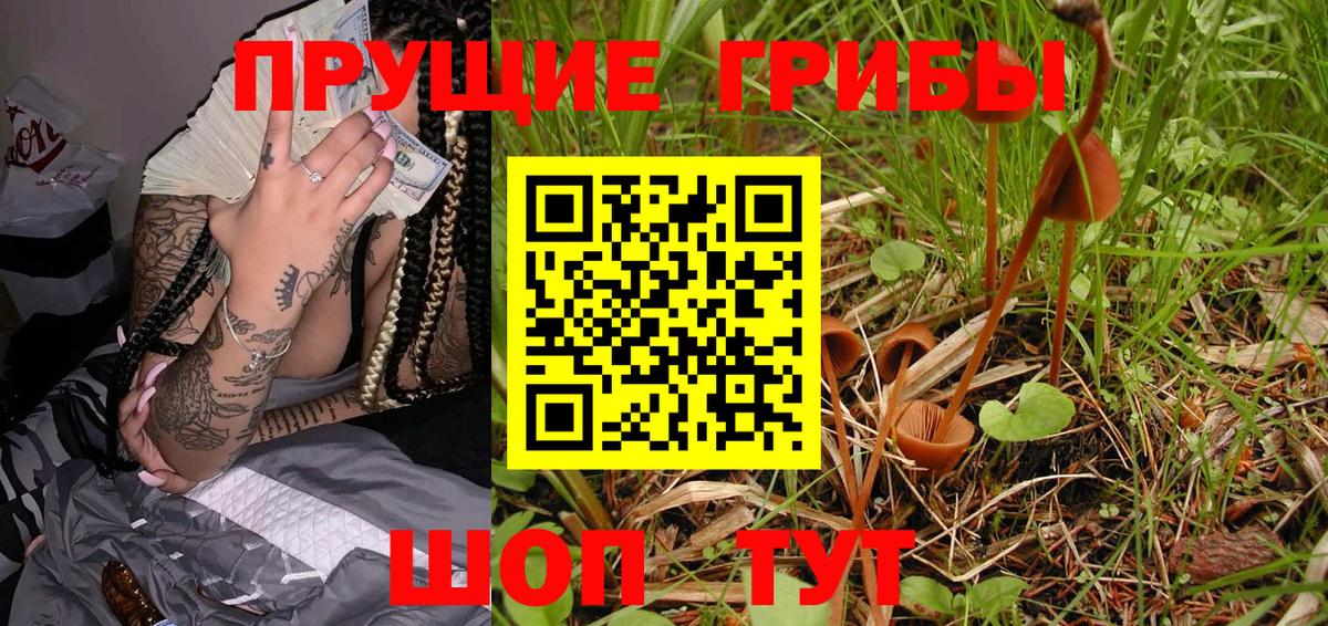 закладки  Вход с VPN  Лобня  Псилоцибиновые грибы GOLDEN TEACHER 
